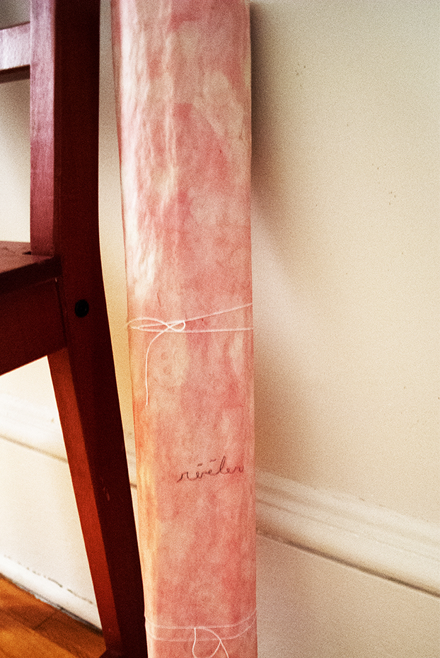 Nicole Panneton - Révéler - Installation - Détail - Résidence de création - Action Art Actuel - Saint-Jean-sur-Richelieu - Crédit photographique Nicole Panneton - 2014