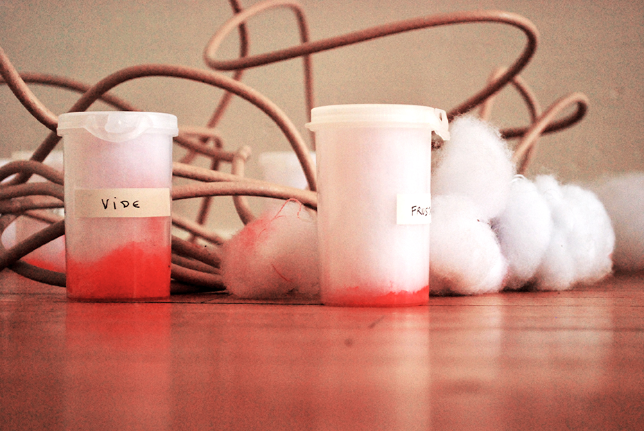 Nicole Panneton - Soigner l'âme - Installation - Résidence de création - Action Art Actuel - Saint-Jean-sur-Richelieu - Crédit photographique Nicole Panneton - 2014