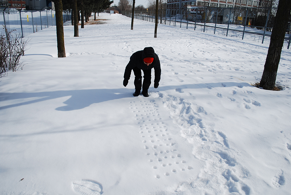 Nicole Panneton - L'élan pour effacer les traces - Action performative - Projet Sonder la track - Montréal - Crédit photographique Julie Laurin - 2014