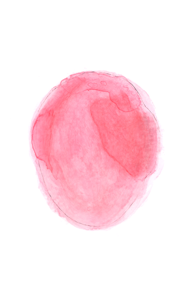 Nicole Panneton - Dessin no 1 - Série Ma tête en forme de mangue - Encre et graphite - 2013