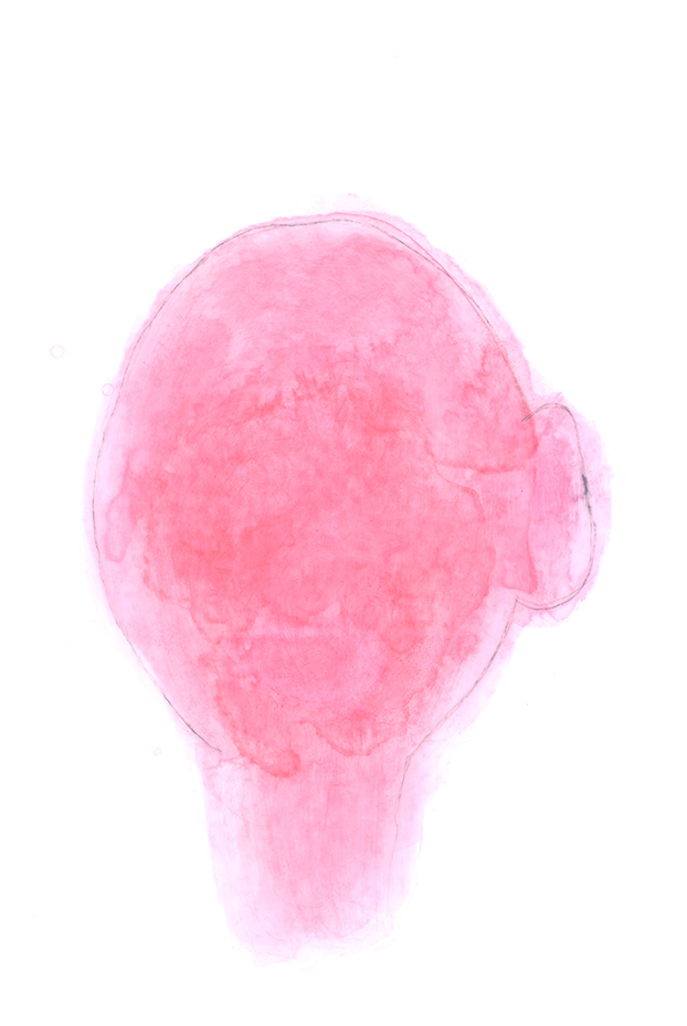 Nicole Panneton - Dessin no 23 - Série Ma tête en forme de mangue - Encre et graphite - 2013