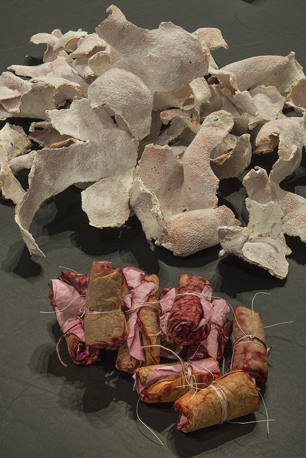 Nicole Panneton - Artéfacts de mon quotidien - Aliments séchés et colorés - Projet Des mailles et des mots - 2015 - Crédit photographique Michel Dubreuil