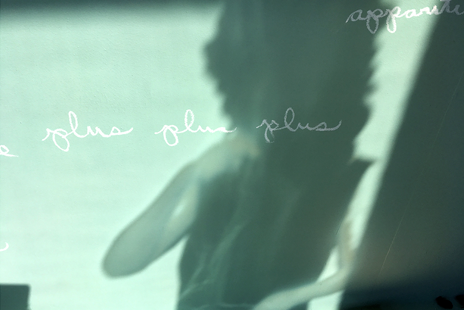 Nicole Panneton - Taire ce qui ne peut être dévoilé - L'Écrin - L'imprimerie centre d'artistes - Montréal - Crédit photographique Nicole Panneton -4 juillet 2018 - IMG3332