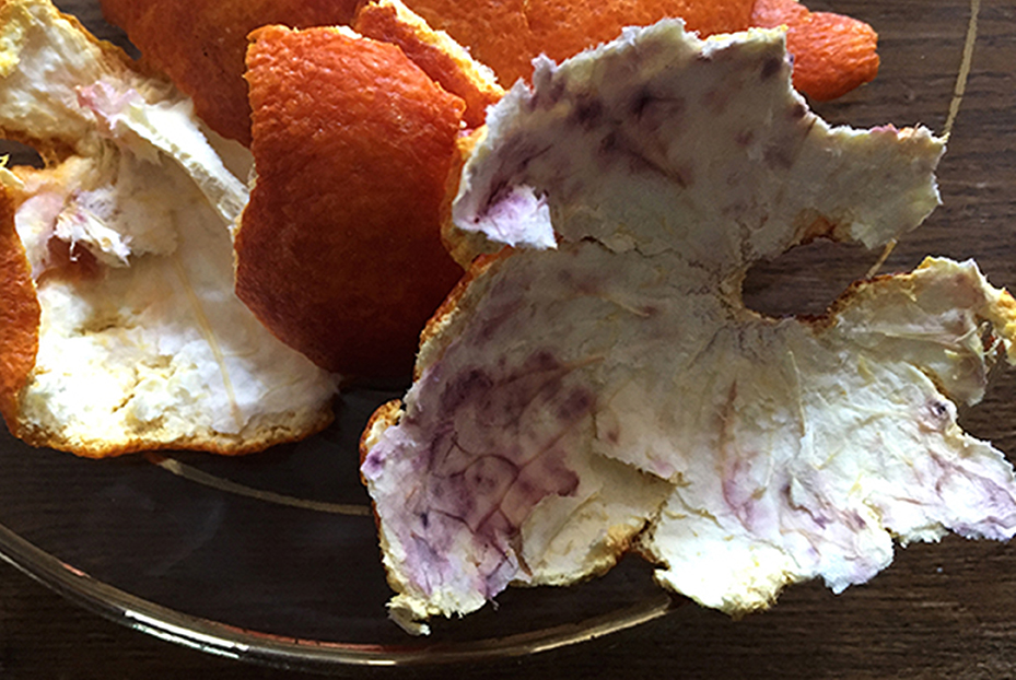 Nicole Panneton - Confinement - Restes - Photographie - Credit photographique Nicole Panneton - 2020 - IMG6020