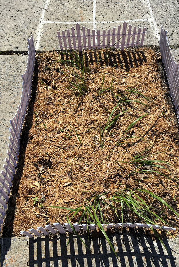 NicolePanneton_Confinement_Seuledansmacour_14mai2020_CréditphotoNicolePanneton_IMG6238