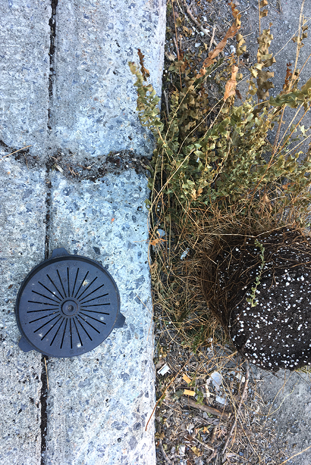 NicolePanneton_Confinement_Distanciation_13mai2020_CréditphotoNicolePanneton_IMG6235