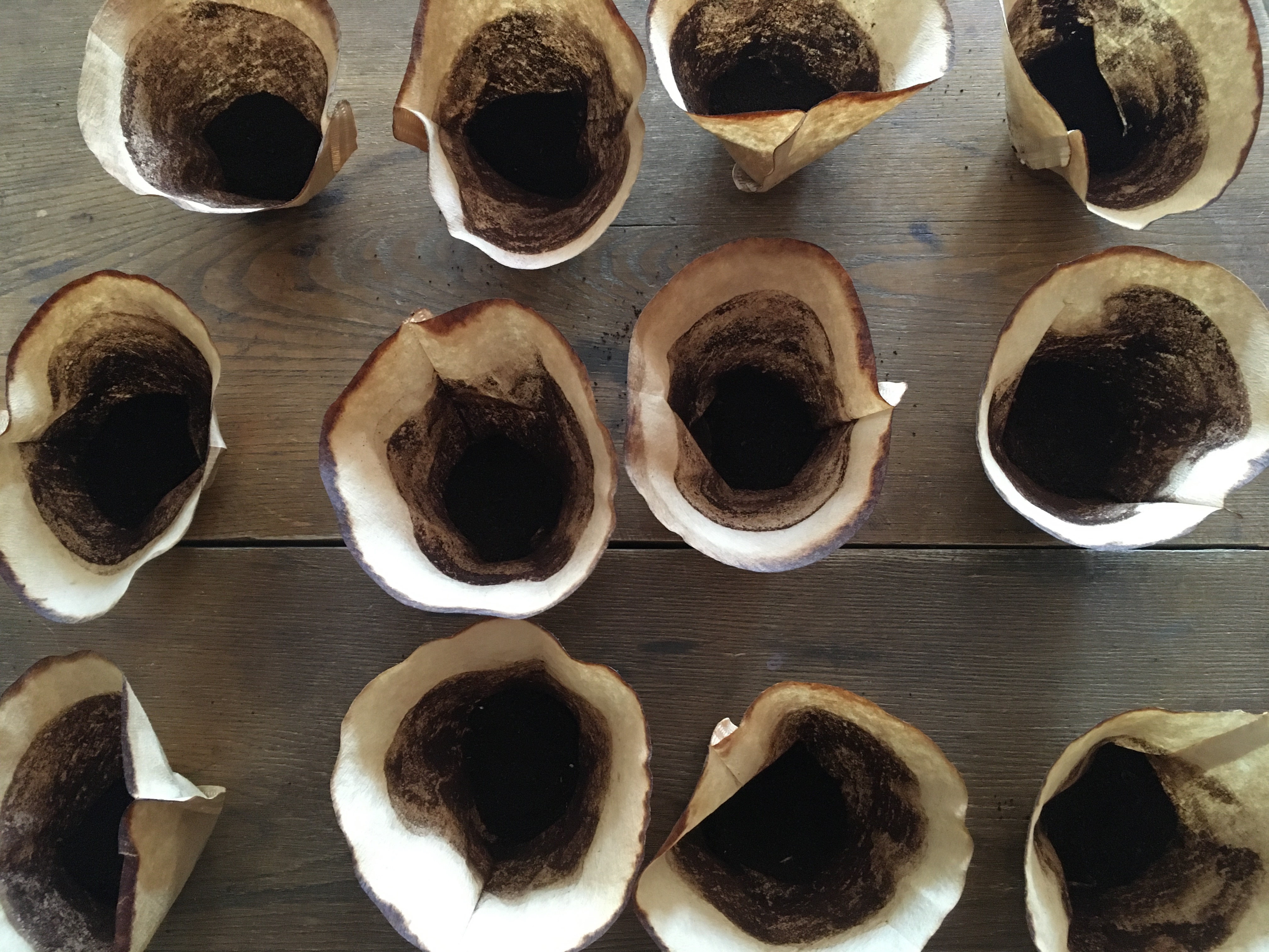 NicolePanneton_Confinement_Excitation_21mai2020_CreditphotoNicolePanneton_IMG6278