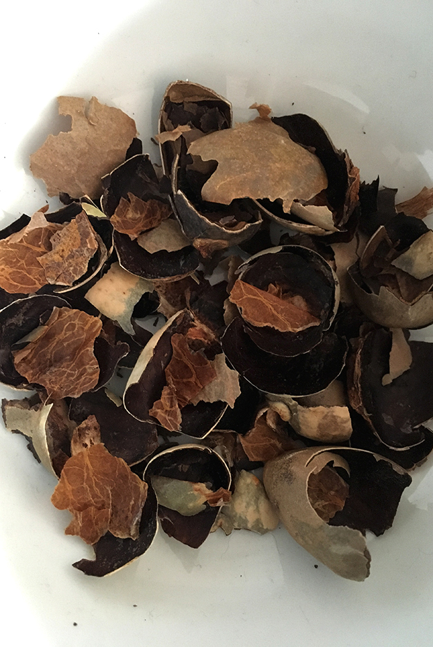 NicolePanneton_Confinement_Résidus_7mai2020_CréditphotoNicolePanneton_IMG6201