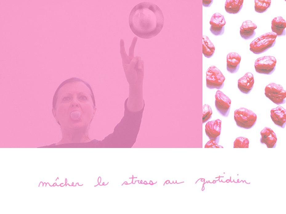 NicolePanneton_Publication_Macherlestressauquotidien_2017