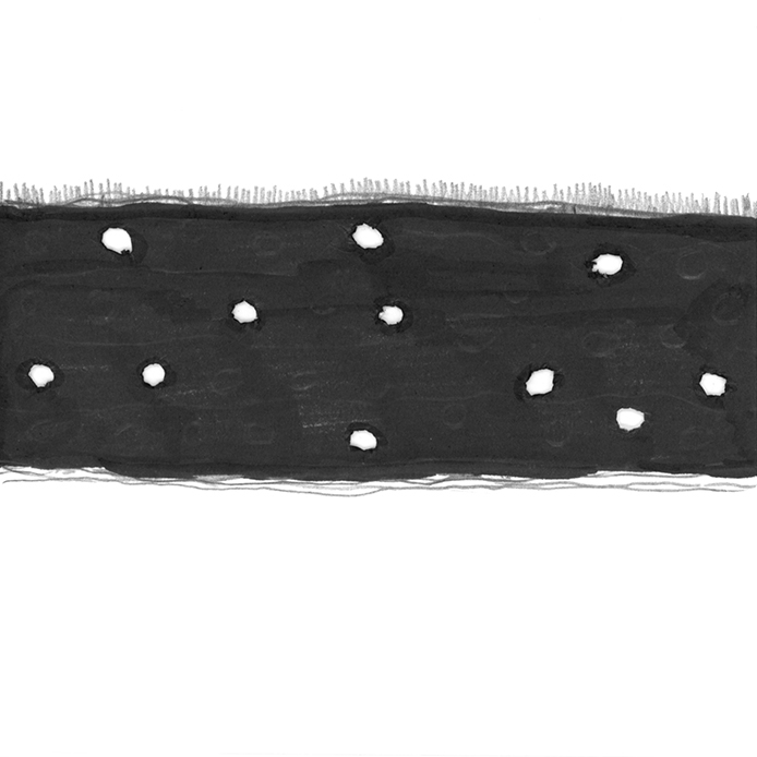 NicolePanneton_Serienoire_Dessin_14septembre2016