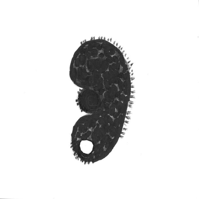 NicolePanneton_Serienoire_Dessin_Sens_3juillet2017