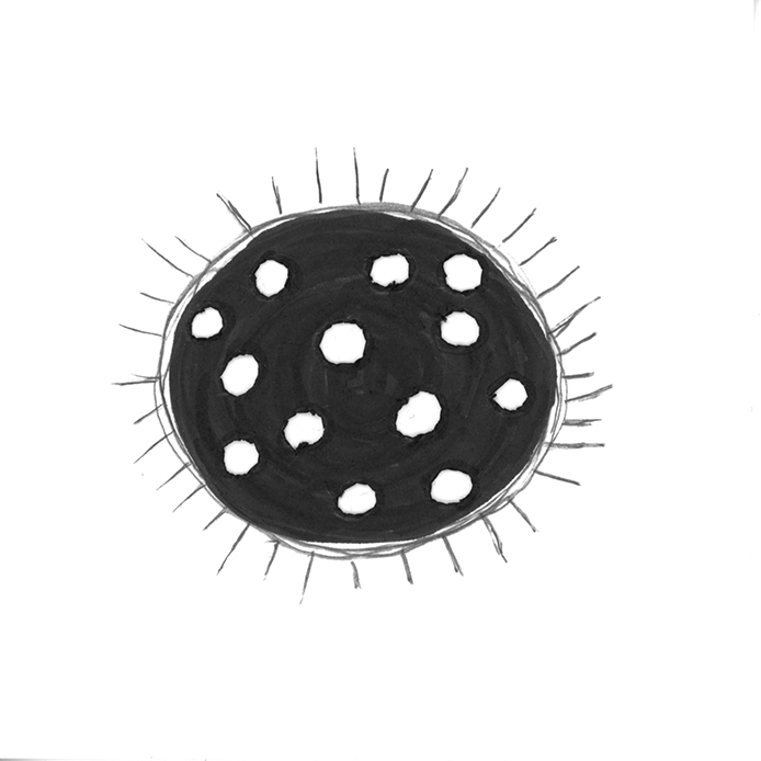 NicolePanneton_Serienoire_Dessin_Soleil_15septembre2016