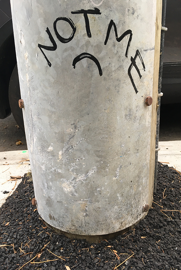 NicolePanneton_Confinement_Notme_CreditphotoNicolePanneton_29octobre 2020_Image7603